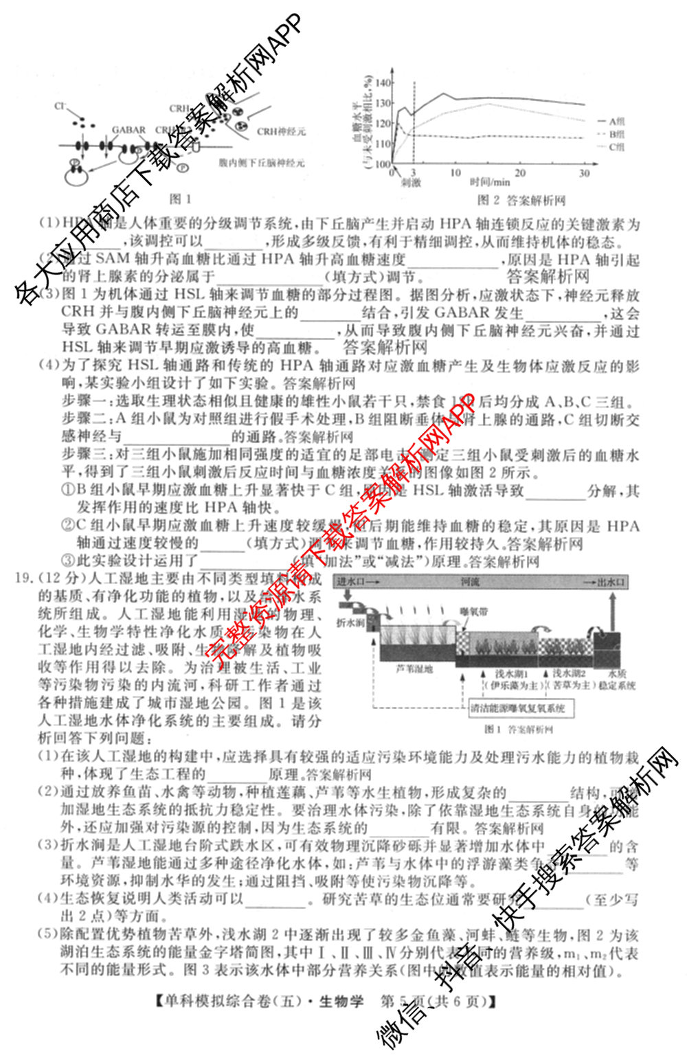 2027新高考单科模拟综合卷(五)各科答案及试卷（含数学(A) 英语 政治等）生物试题