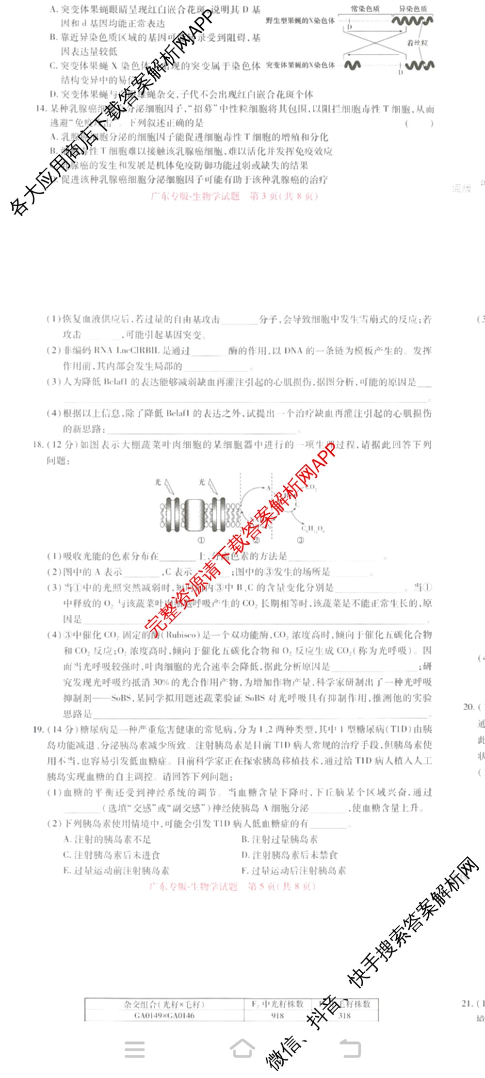 王后雄2024年普通高等学校招生全国统一考试预测卷各科答案及试卷（含语文(安徽专版)、政治(重庆专版)、历史(福建专版)等144份）生物试题