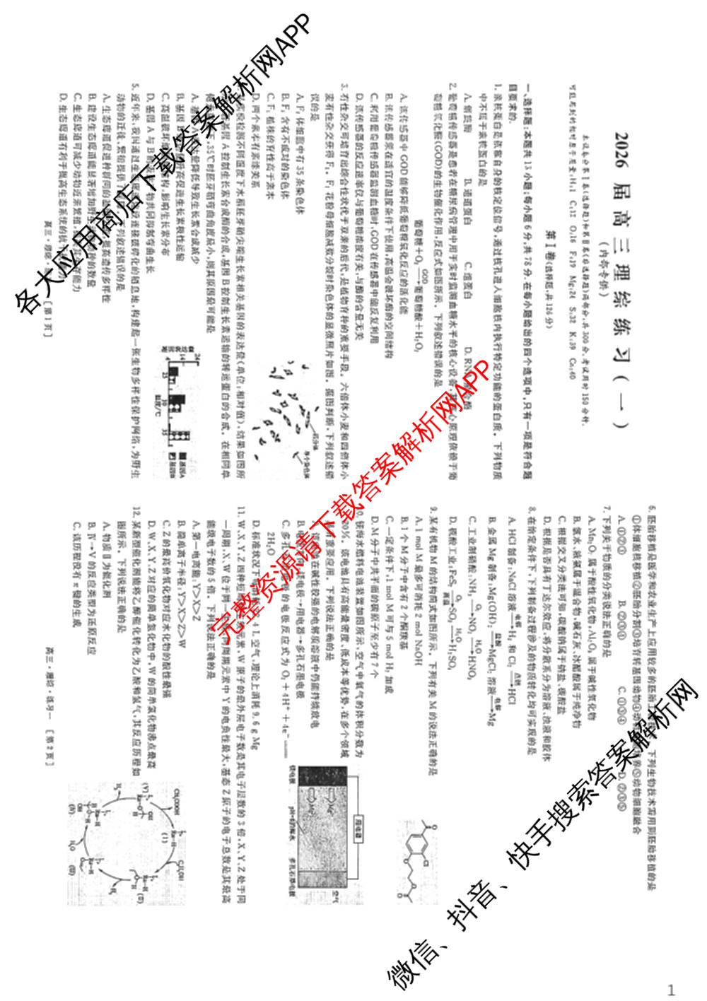 海淀八模2026届高三练(一)（含历史(S)、政治(S)、物理等）理综试题