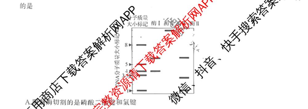 湖南天壹名校联盟2025年上学期高二3月大联考试卷及答案汇总（含化学 物理(B) 英语等）生物试题