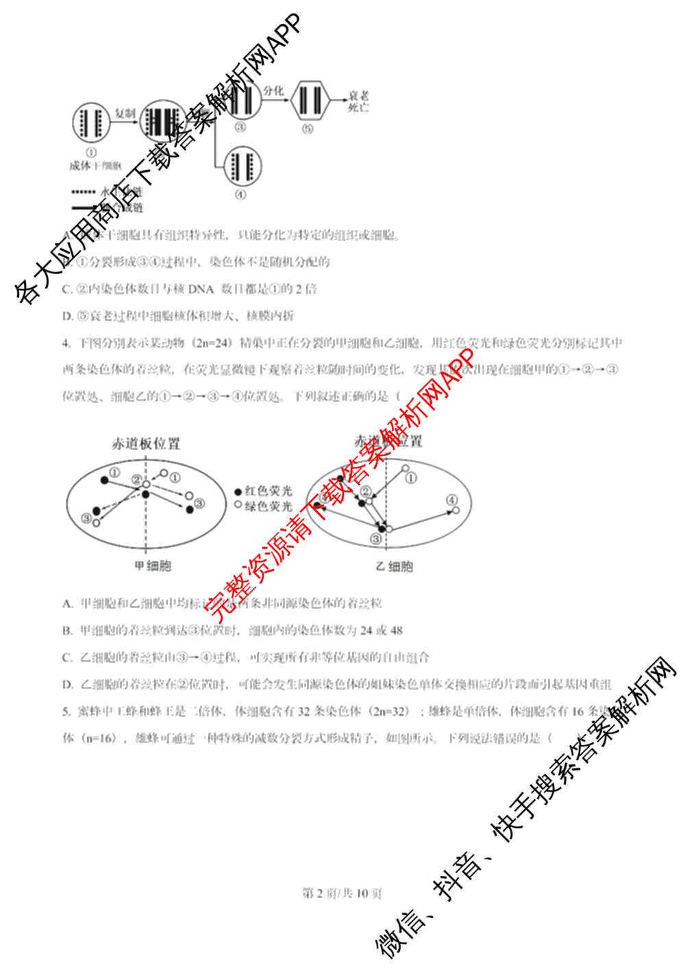 南开大学附属中学2026届上学期第一次阶段检测各科答案及试卷（含政治、数学、生物等）生物试题
