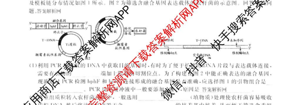 2026届高三总复习名师原创模拟(七)7各科答案及试卷: 含政治(HEN6G)、数学(XS6)、化学(新S6J)试卷解析生物试题