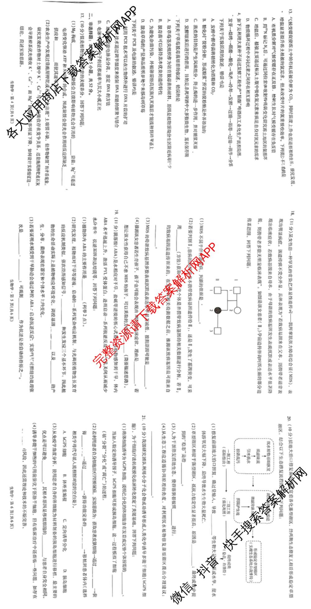 2026年云南省新高考自主命题冲刺金卷(二)（含政治、物理、语文等9份）生物试题