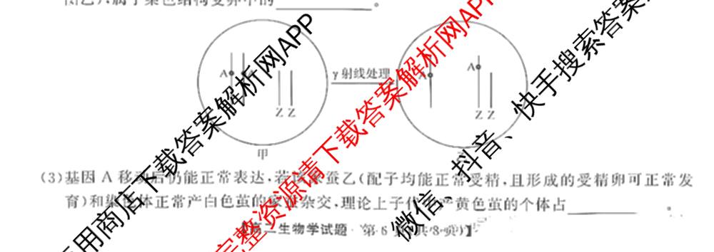 湖南天壹名校联盟2025年上学期高二3月大联考试卷及答案汇总（含化学 物理(B) 英语等）生物试题