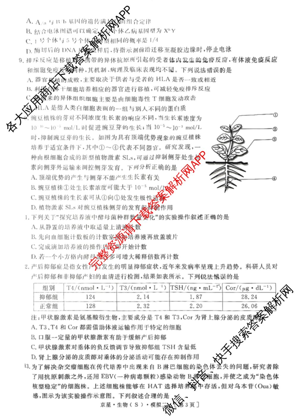 海淀八模2025届高三模拟测试卷(二)2试卷及答案汇总: 含文综(XJ)、物理(河南)、历史试卷解析生物试题