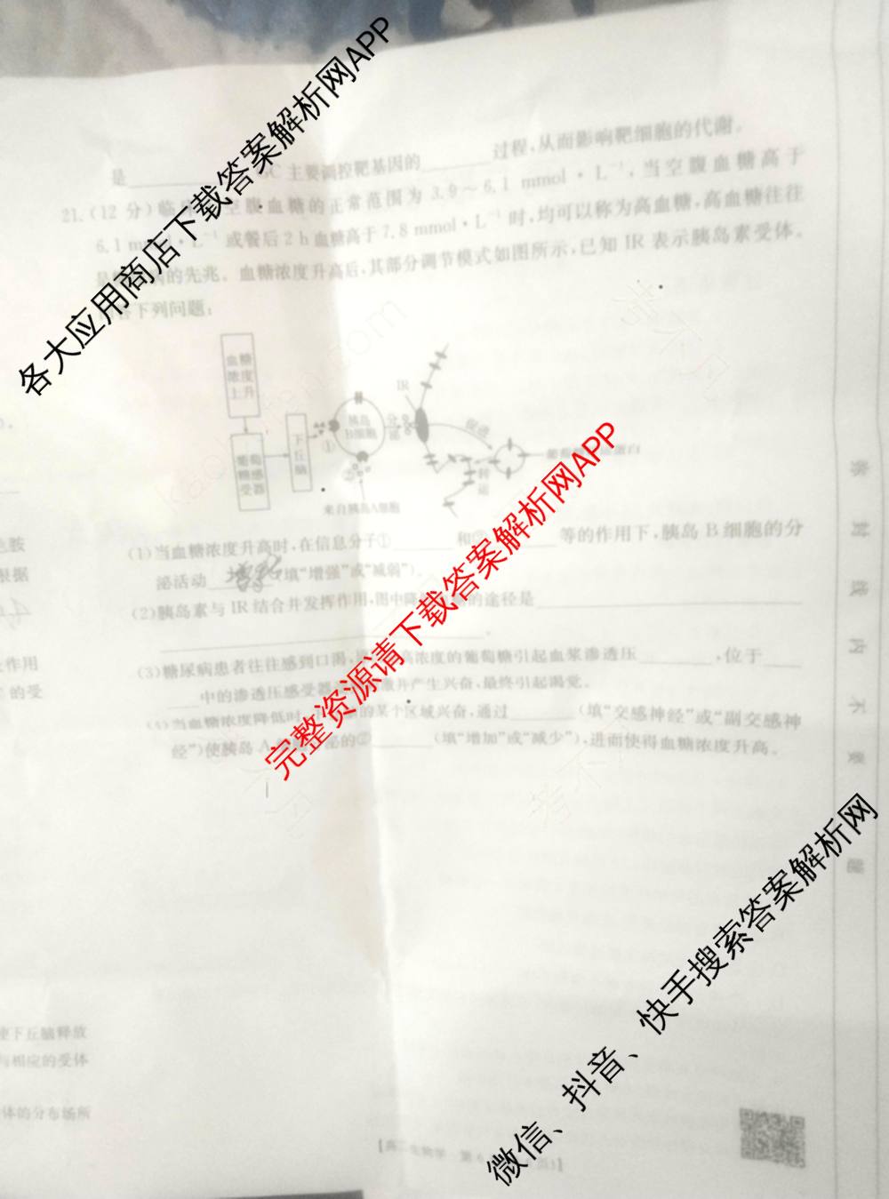 贵州2024-2025高二11月联考(11.9-10)各科答案及试卷(已更新语文 数学(B1) 数学(B2)等10份)生物试题