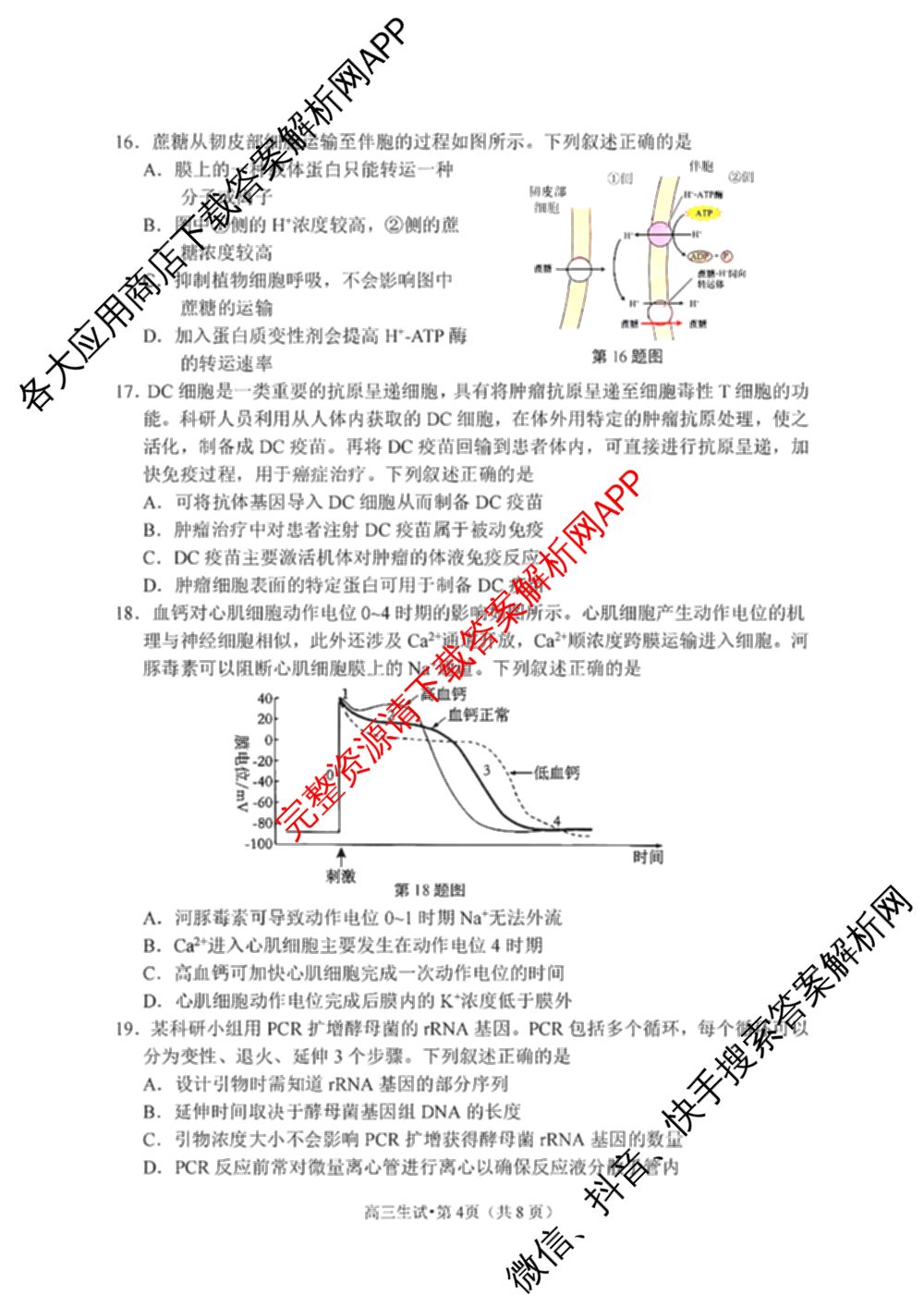 2024学年第一学期杭州市高三年级教学质量检测（含化学 技术 英语等）生物试题