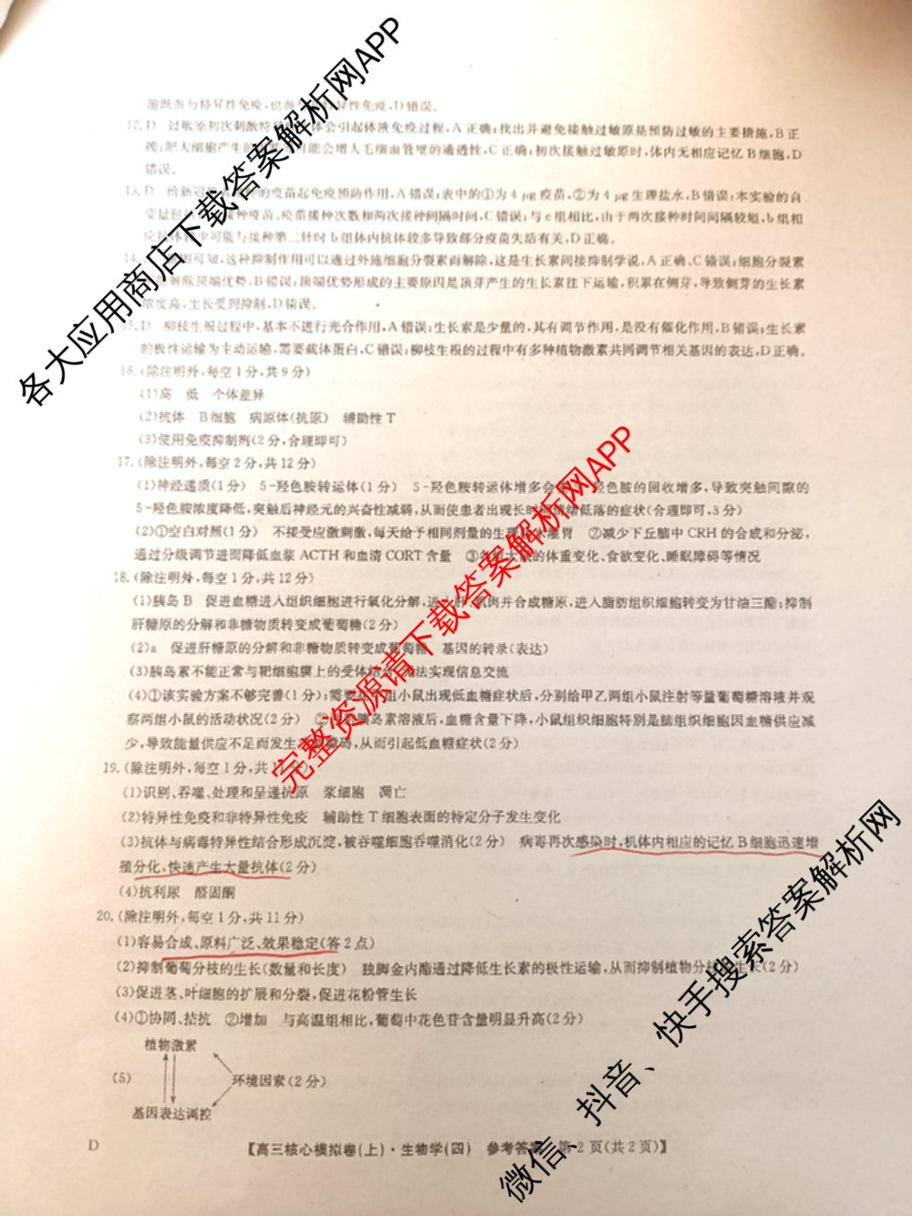 九师联盟2024~2025学年高三核心模拟卷(上)(四)4（18科全）生物答案