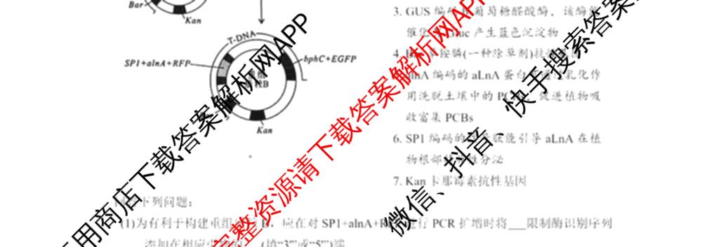 [泉州一检]泉州市2026届高中毕业班教学质量监测(一)各科答案及试卷(已更新化学、历史、政治等10份)生物试题