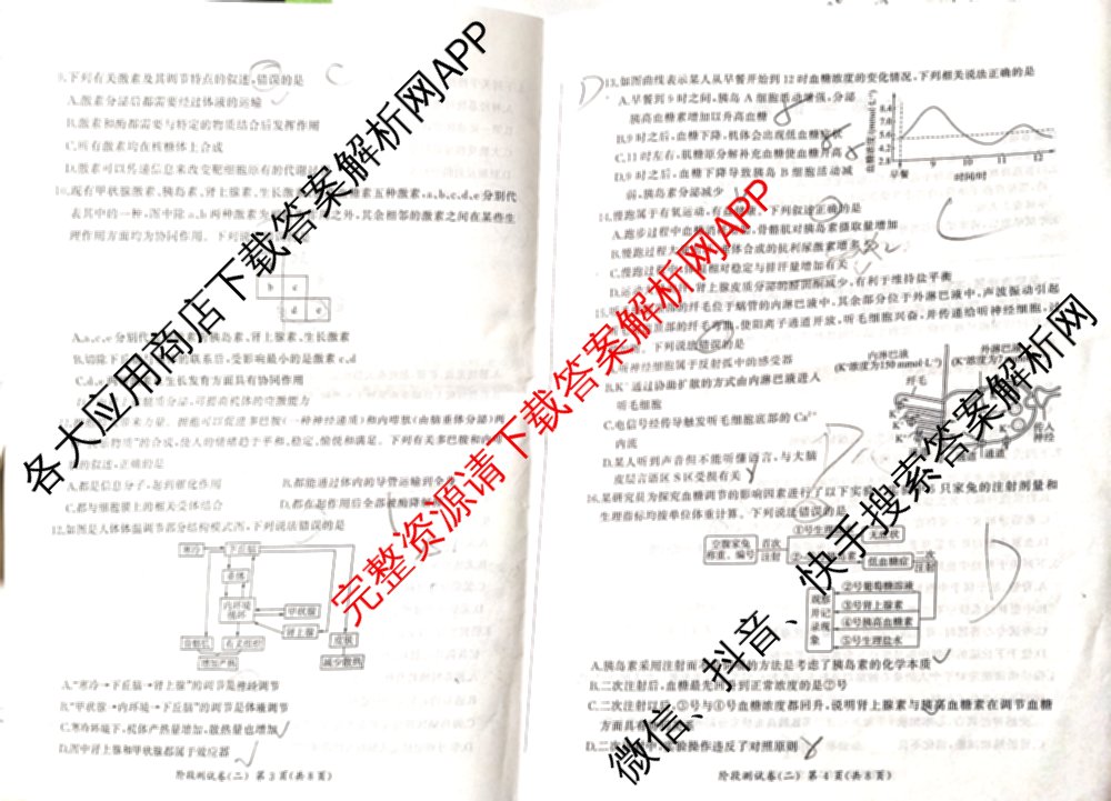 百师联盟2025-2026学年高二上学期阶段测试卷(二)2试卷及答案汇总（含化学(人教版90分钟·多选)、化学(人教版75分钟·单选)、政治(75分钟)等26份）生物试题