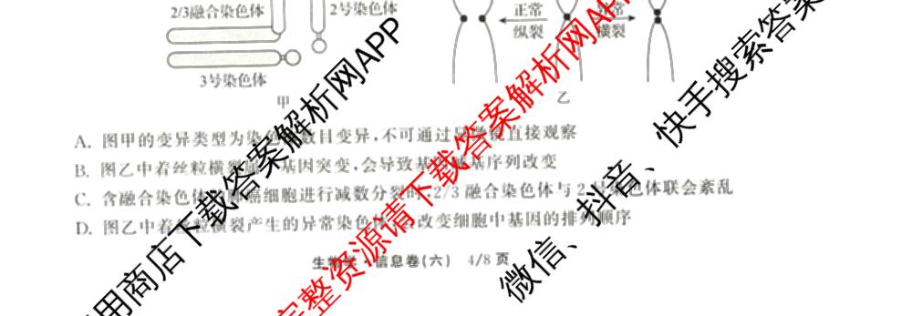 天舟高考衡中同卷2026年普通高等学校招生全国统一考试模拟信息卷(六)6试卷及答案汇总: 含地理、物理(JY)、物理(山东版)试卷解析生物试题