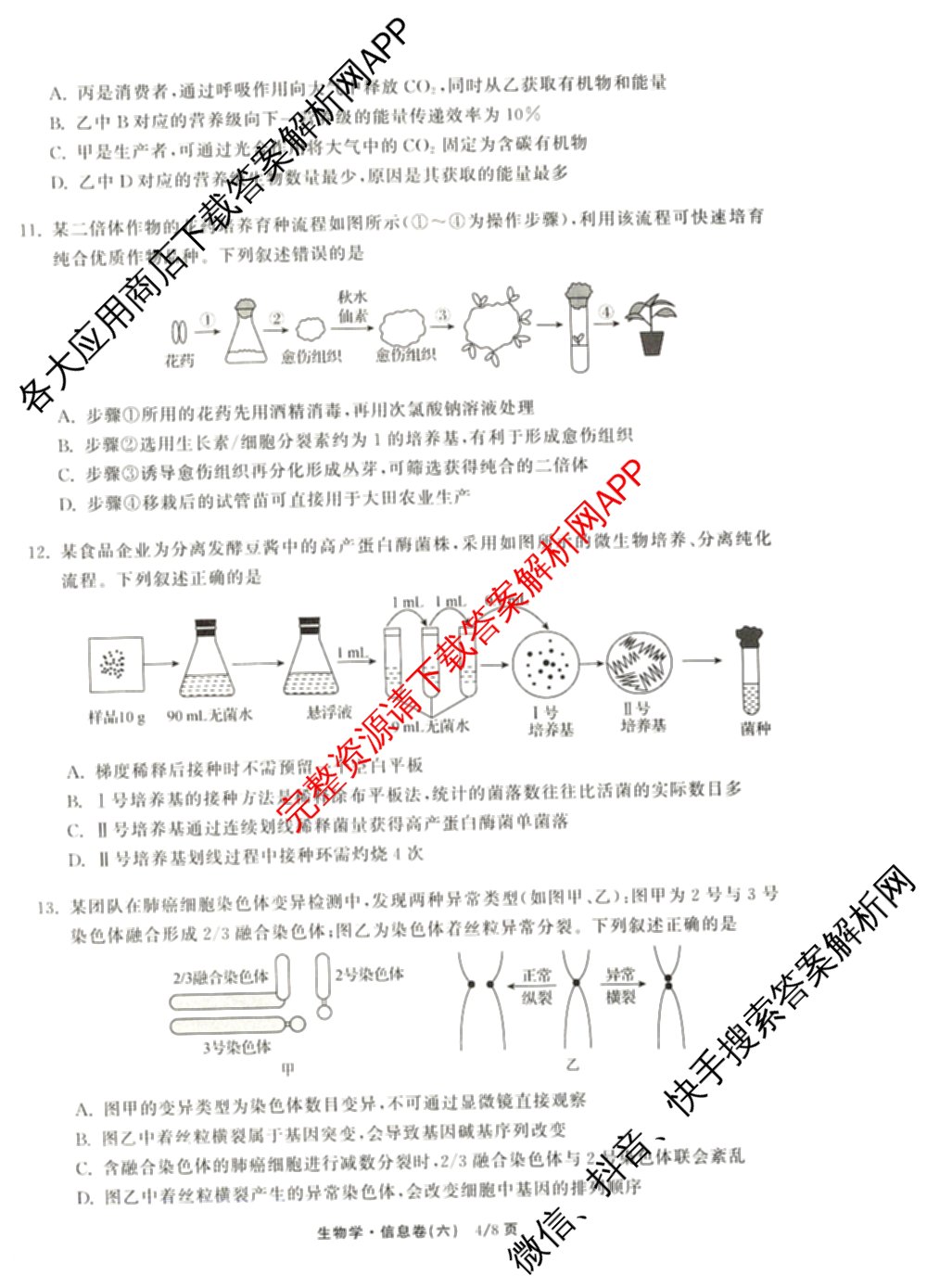 天舟高考衡中同卷2026年普通高等学校招生全国统一考试模拟信息卷(六)6试卷及答案汇总（含化学(山东版) 数学(无字母) 文综(新疆版)等）生物试题