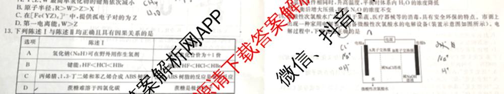 衡水金卷广东省2025届高三年级9月份联考各科答案及试卷（含英语 物理 历史等）化学试题