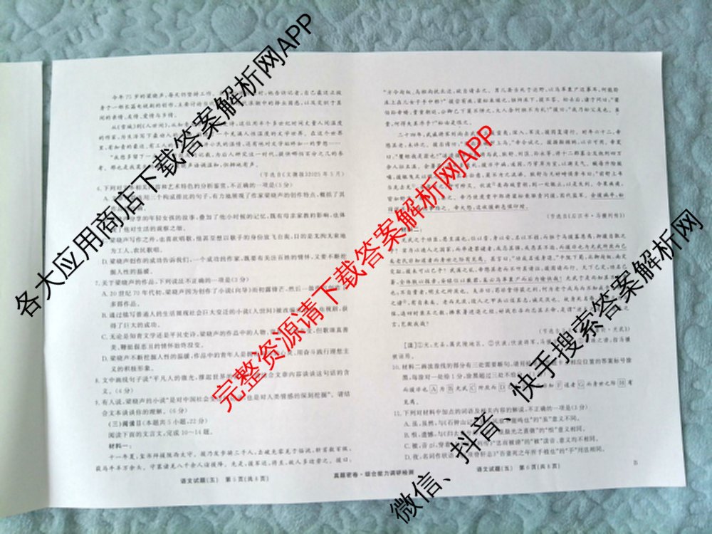 衡水真题密卷2025-2026学年度综合能力调研检测(五)5各科答案及试卷(已更新化学(2) 数学(A) 数学(B)等15份)语文试题