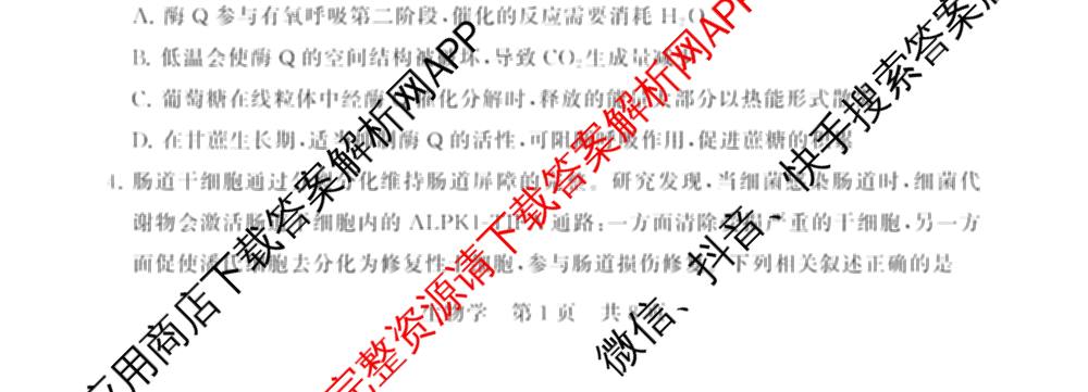 山西省2026届高三年级四月阶段练(SX)试卷及答案汇总(已更新生物(SX)、地理(HN)、政治(HN)等21份)生物试题
