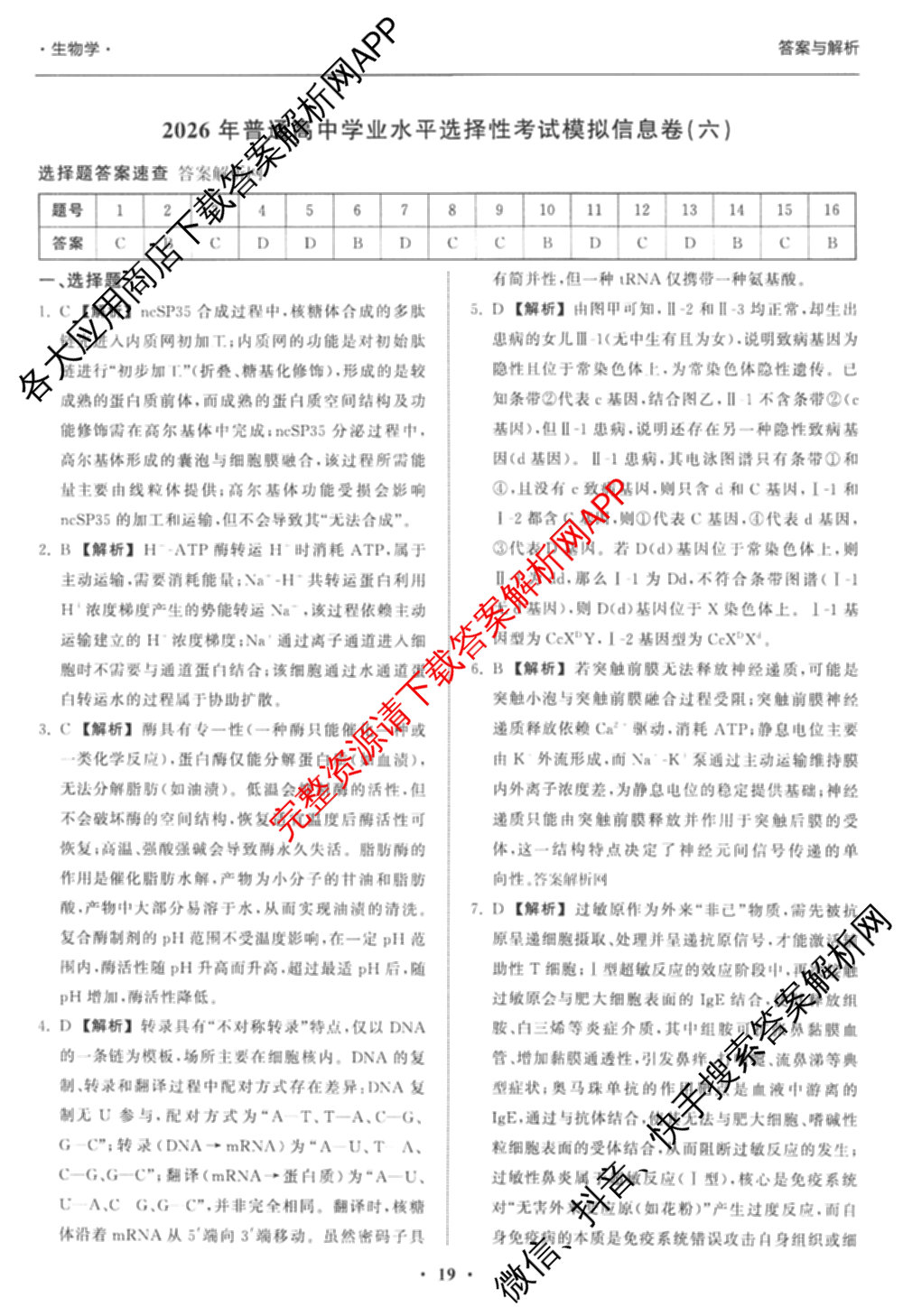 天舟高考衡中同卷2026年普通高等学校招生全国统一考试模拟信息卷(六)6试卷及答案汇总（含化学(山东版) 数学(无字母) 文综(新疆版)等）生物答案