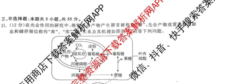 天舟高考衡中同卷2025年普通高等学校招生全国统一考试模拟押题卷(一)1试卷及答案汇总（34科全）生物试题