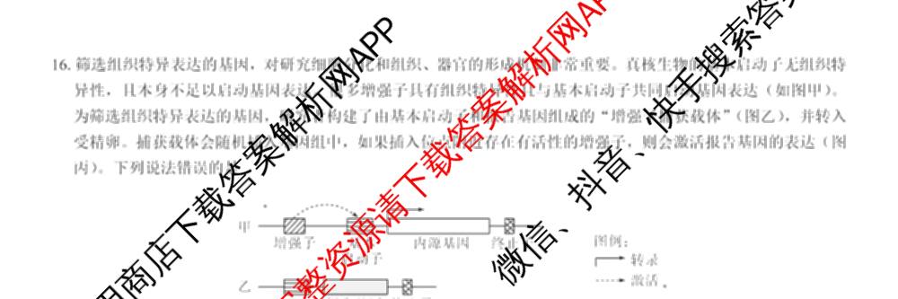 名校教研联盟2026届高考仿真模拟卷(样卷)试卷及答案汇总(含语文、物理(A)、物理(E)等11份)生物试题 名校教研联盟2026届高考仿真模拟卷(样卷)试卷及答案汇总(含语文、物理(A)、物理(E)等11份)生物试题