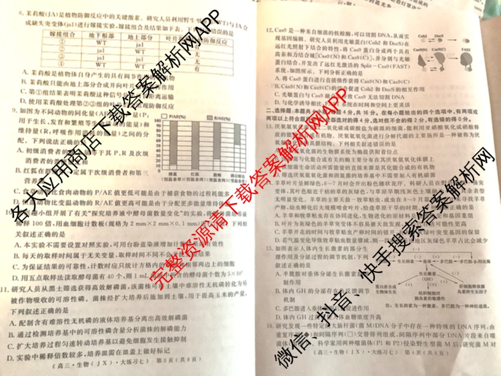 黄冈八模2026届高三大练(七)7（含历史(SD)、地理、物理(JX)等）生物试题