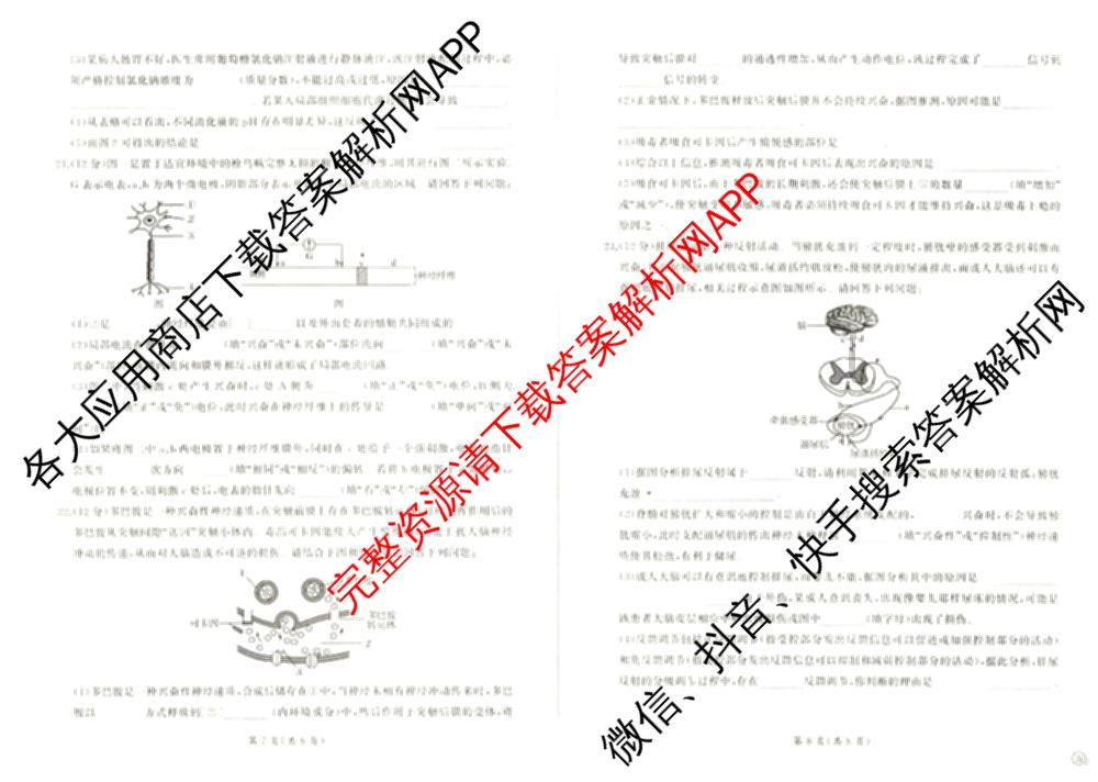 百师联盟2024-2025学年度高二9月联考各科答案及试卷(已更新语文 数学(BSD) 生物等10份)生物试题
