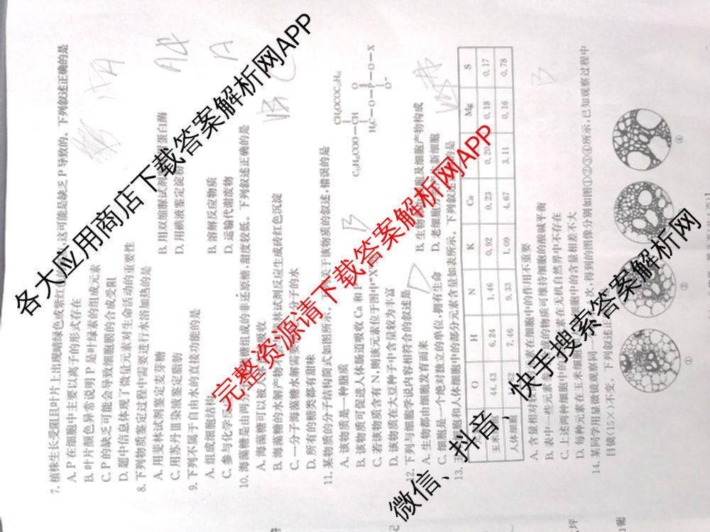 陕西省2025-2026学年高一年级考试(9.25)各科答案及试卷（含物理、数学(A1)、历史等9份）生物试题
