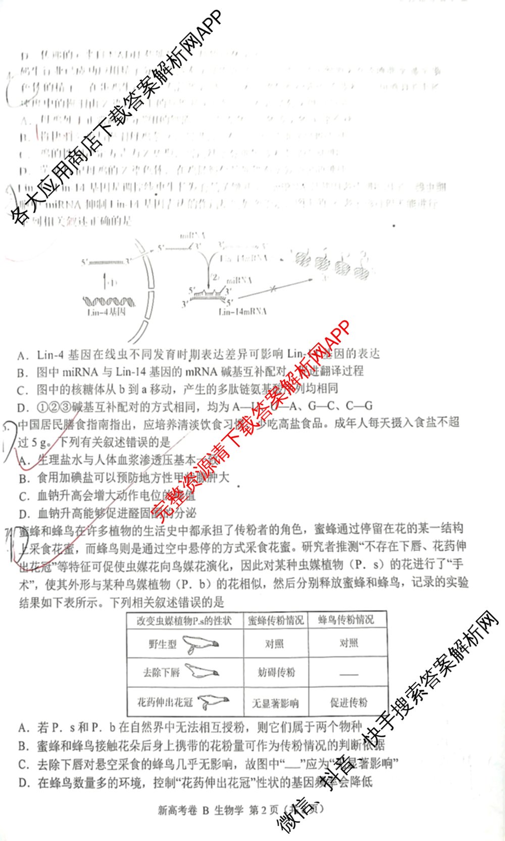 学科网2025届高三4月大联考试卷及答案汇总（含物理(新高考卷C) 文综(新课标卷) 英语(新课标卷A)等）生物试题