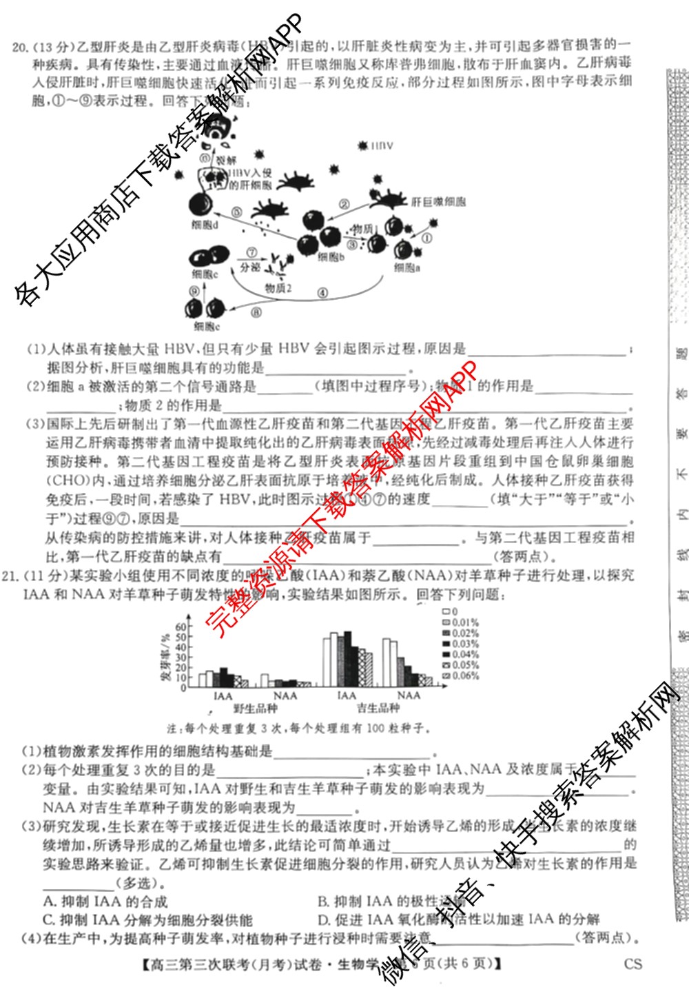 全国名校大联考2024~2025学年高三第三次联考(月考)试卷及答案汇总: 含生物(B)、物理(CS)、化学(C)试卷解析生物试题