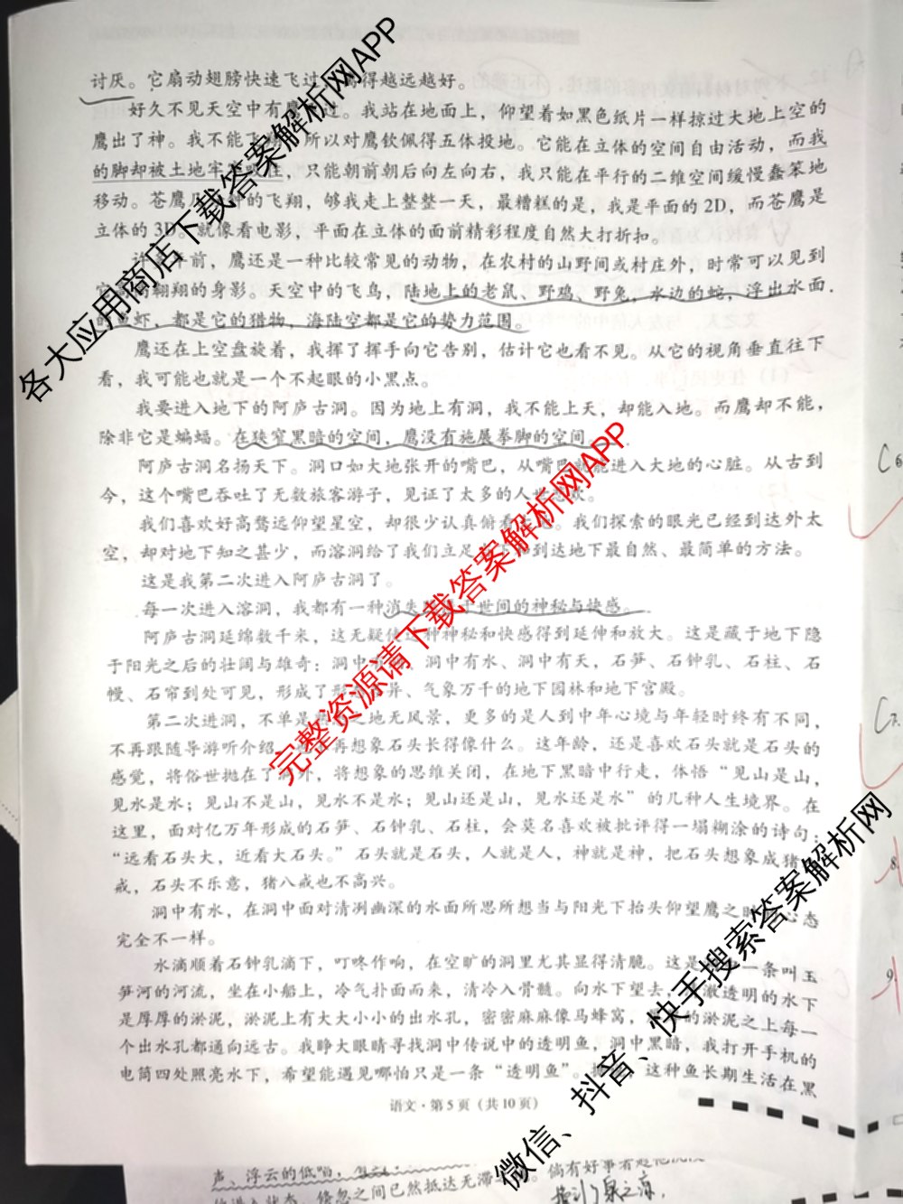 云南师大附中2026届高考适应性月考卷(二)(黑黑黑黑黑黑白黑白)（9科全）语文试题