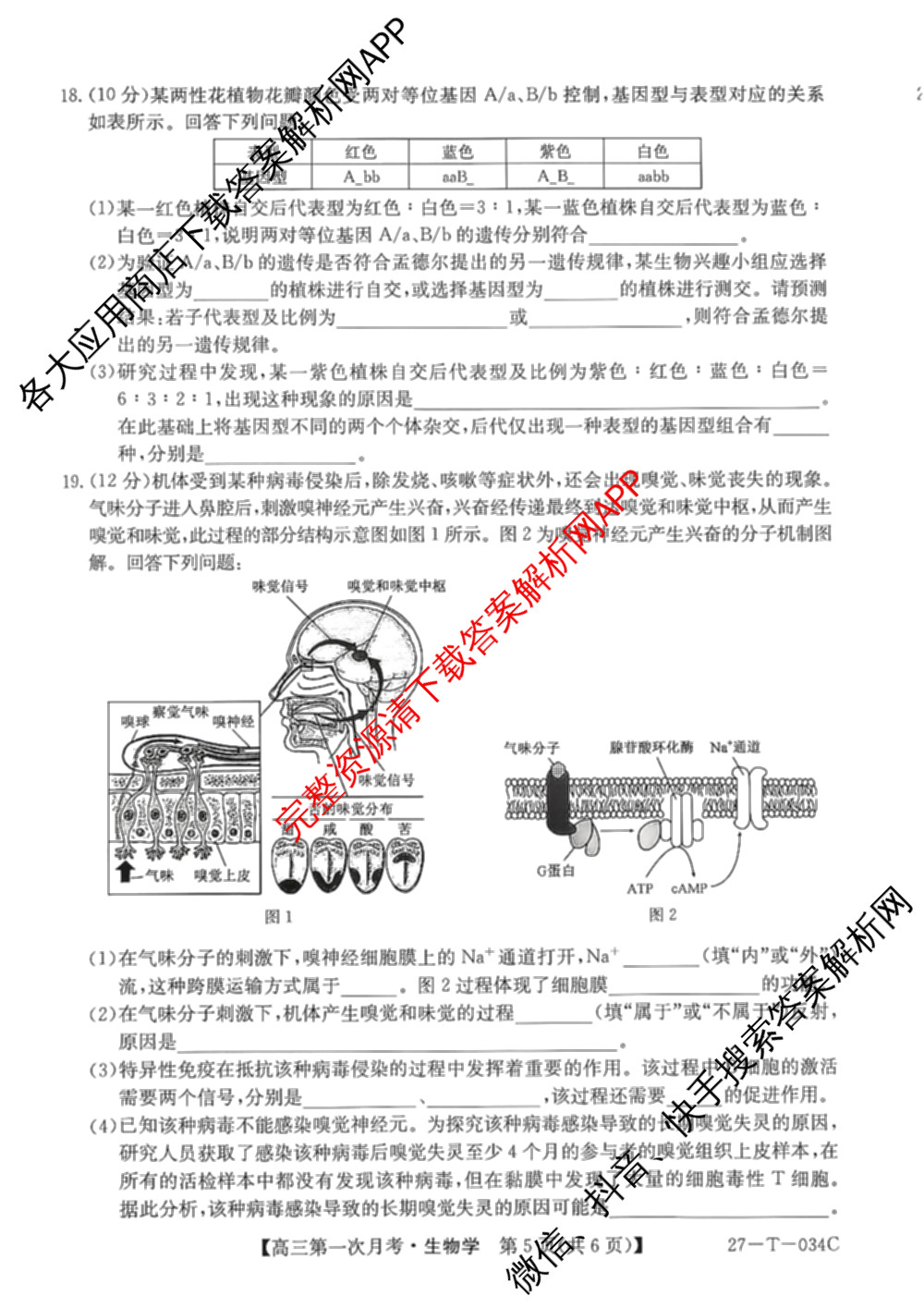 贵州省2026-2027学年秋季学期第一次月高三(27-T-034C)试卷及答案汇总（含化学、历史、英语等）生物试题