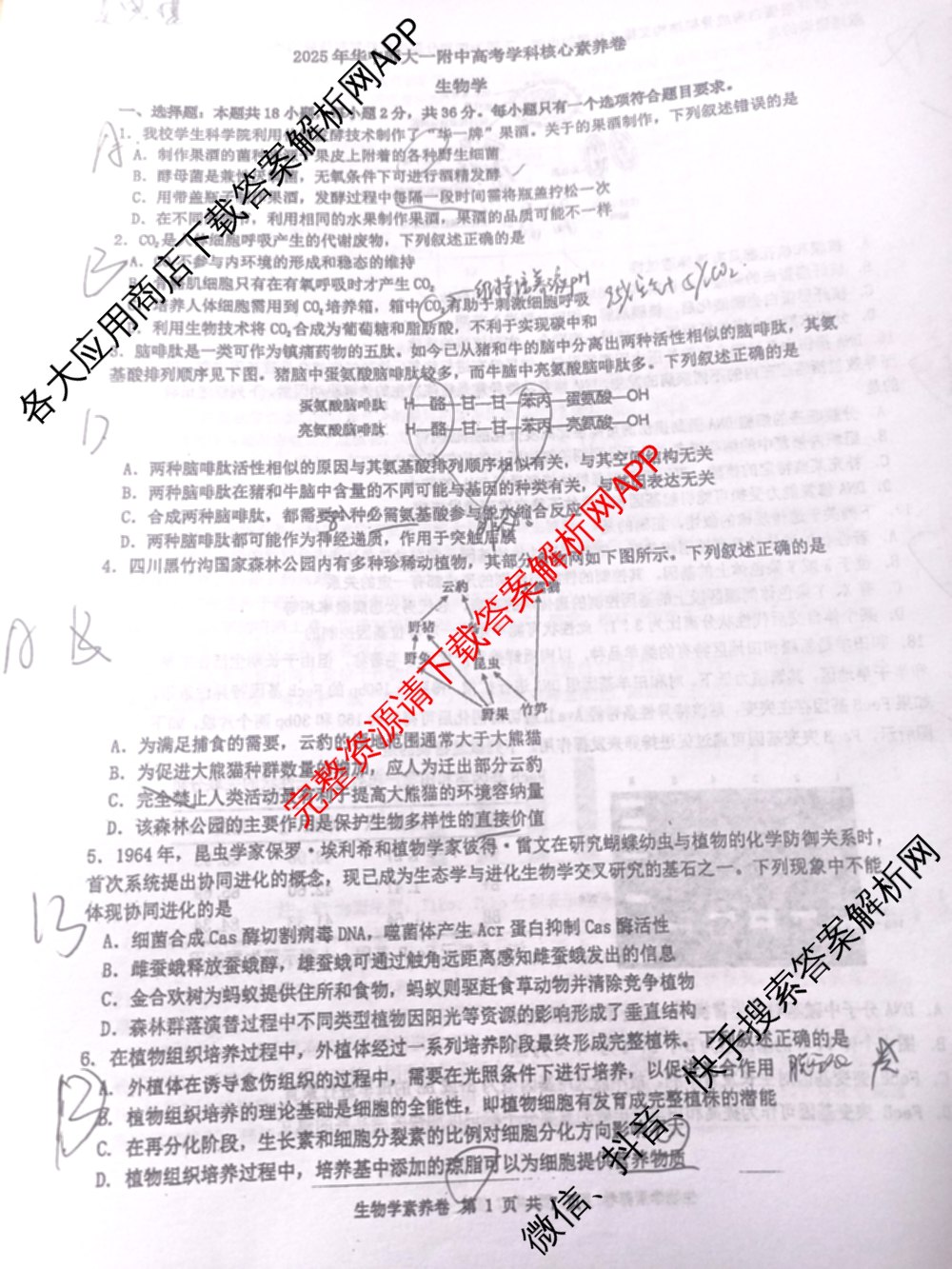 2025年华中师大一附中高考学科核心素养卷试卷及答案汇总（含历史 政治 数学等9份）生物试题