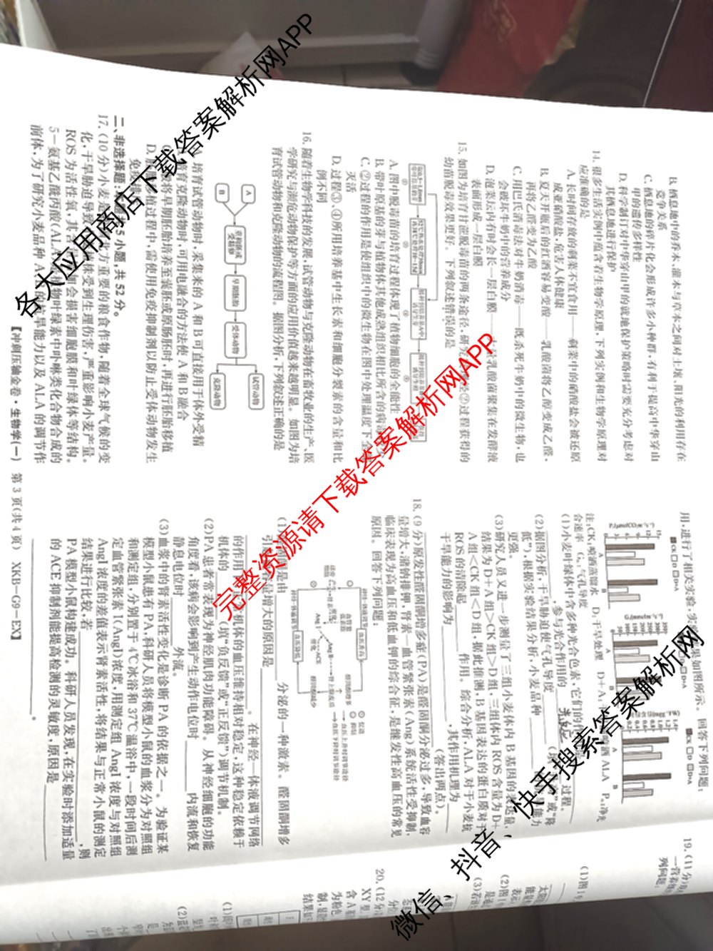 XKB2025届普通高等学校招生全国统一考试冲刺压轴金卷(一)1（含物理(XKB-G10-EX) 英语(XKB-G1-EX) 化学(XKB-G1-H-EX)等）生物答案