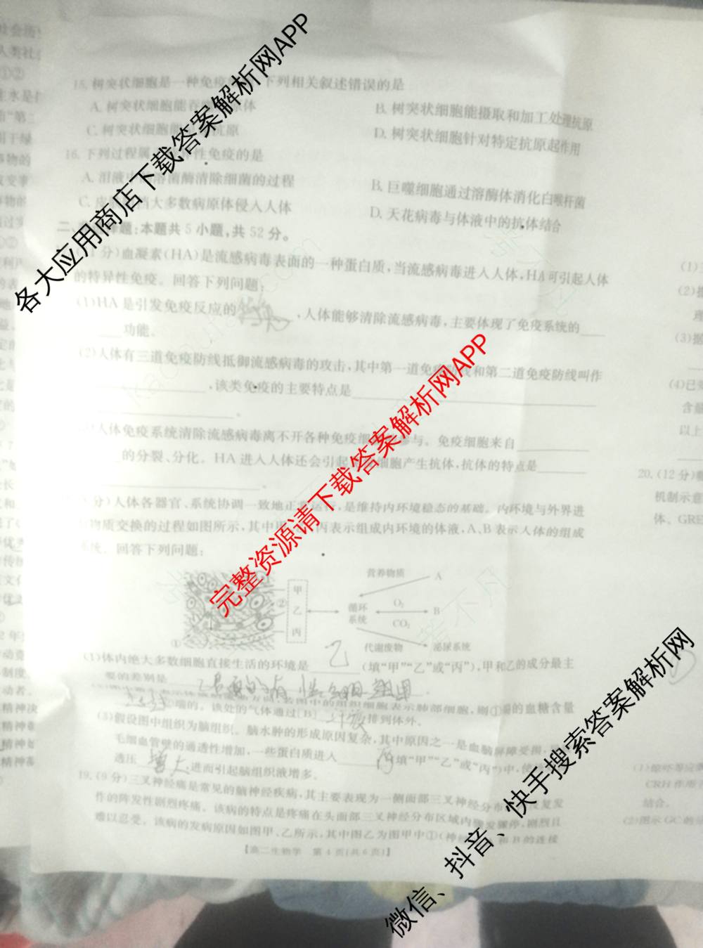 贵州2024-2025高二11月联考(11.9-10)各科答案及试卷(已更新语文 数学(B1) 数学(B2)等10份)生物试题