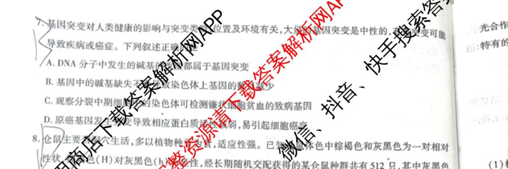 天一大联考2026届高三冲刺(六)6（含政治、数学、化学等27份）生物试题