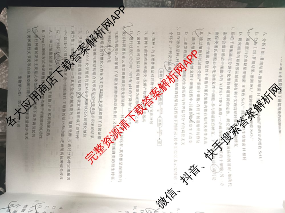 山西省2026届高三年级四月阶段练(SX)试卷及答案汇总(已更新生物(SX)、地理(HN)、政治(HN)等21份)生物试题