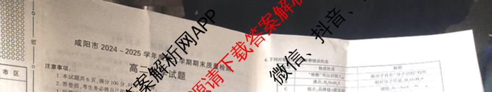咸阳市2024~2025学年度第二学期期末质量检测高二（含化学、地理、物理等9份）化学试题