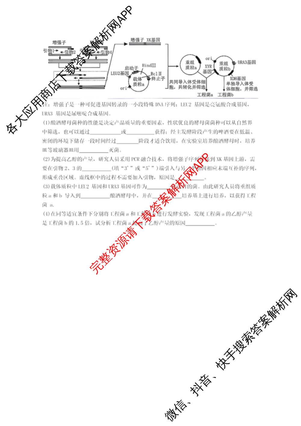 甘肃省西北师大附中2026年高三模拟考试试题(3月)各科答案及试卷（9科全）生物试题