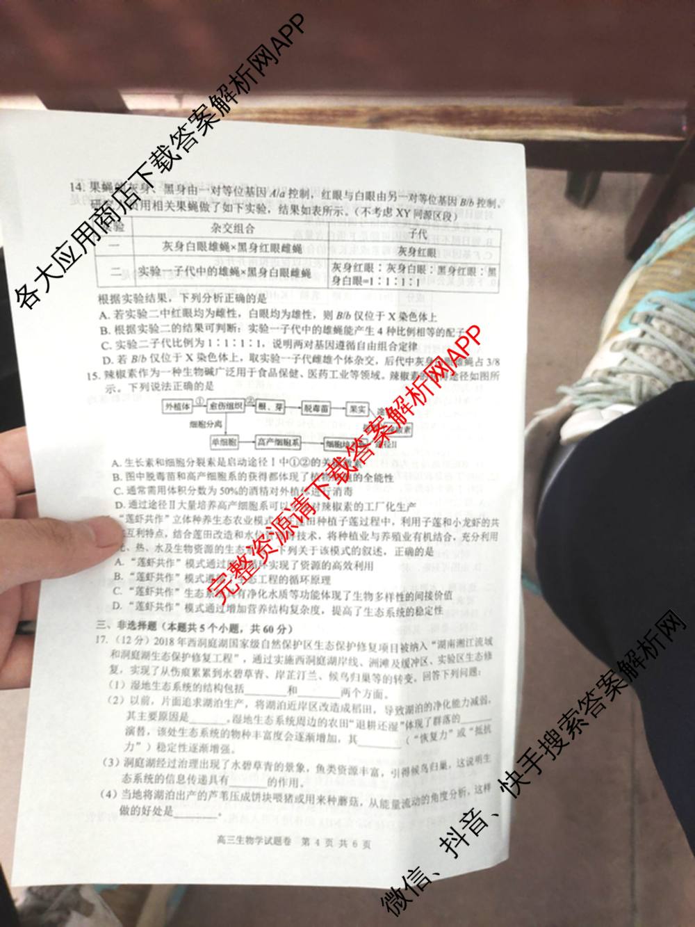 益阳市2026届高三9月教学质量监测试卷及答案汇总（含语文、物理、英语等）生物试题