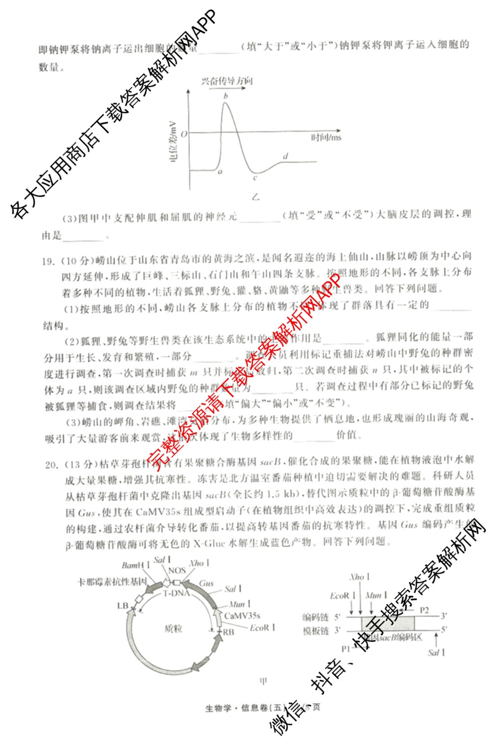 天舟高考衡中同卷2026年普通高等学校招生全国统一考试模拟信息卷(五)5（含理综(新疆版)、生物(WY)、英语(B)等）生物试题