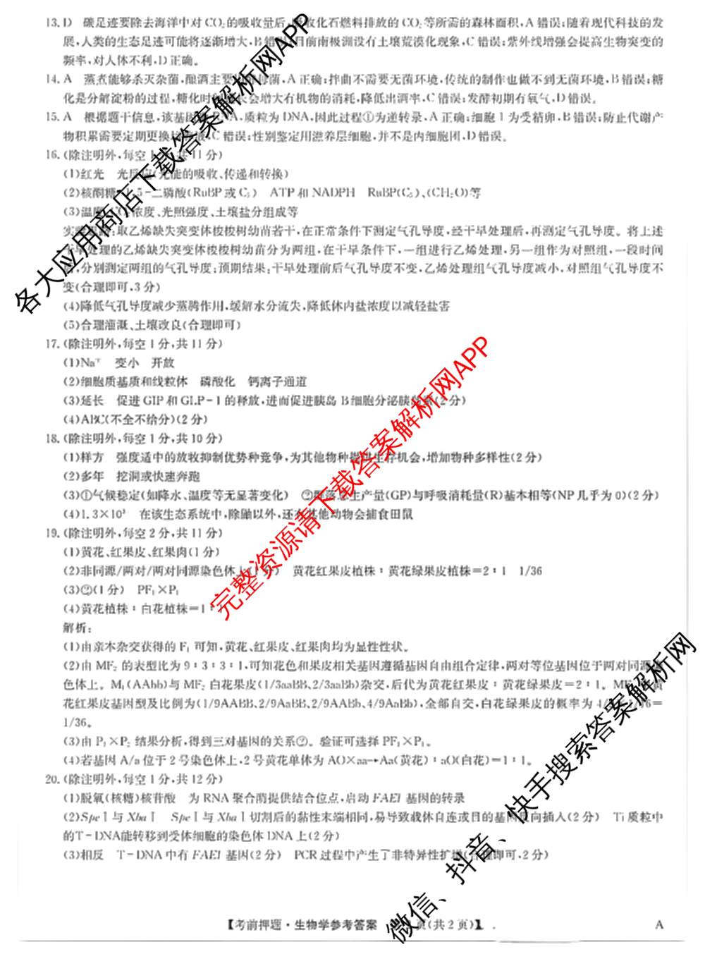九师联盟2025届高三5月考前冲刺(一)（含地理(N)、政治、英语(无字母)等45份）生物答案