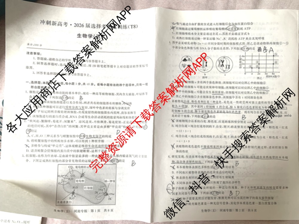 冲刺新高考2026届高考仿真训练(T8)(五)5试卷及答案汇总（含历史(河北专版)、地理(河南专版)、语文等）生物试题