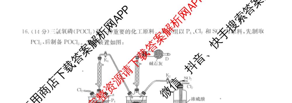 2025年定西市普通高中高三年级诊断考试各科答案及试卷: 含物理、数学、生物试卷解析化学试题
