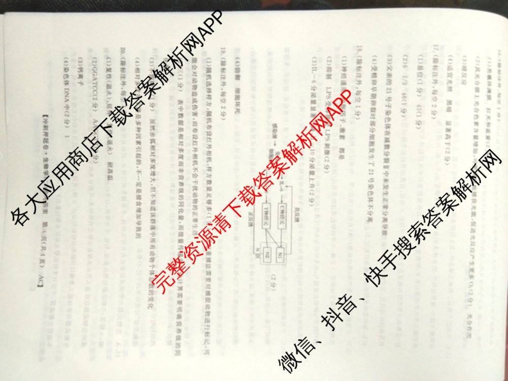2026普通高等学校招生全国统一考试冲刺押题卷(二)2各科答案及试卷（16科全）生物答案