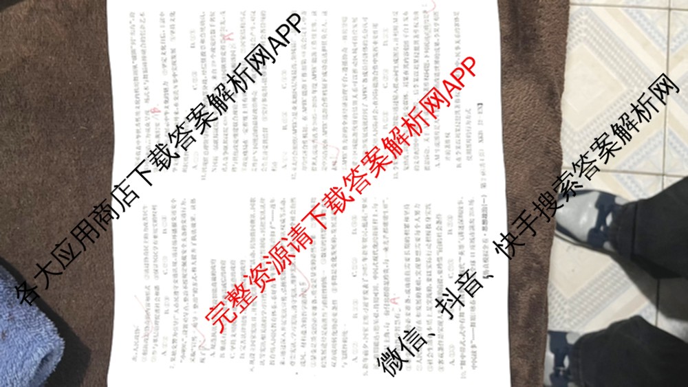 XKB-J-EX 2026届普通高等学校招生全国统一考试仿真模拟金卷(一)1（含物理(XKB-J2-EX)、语文(XKB-J1-EX)、化学(XKB-J1-B-EX)等10份）政治试题