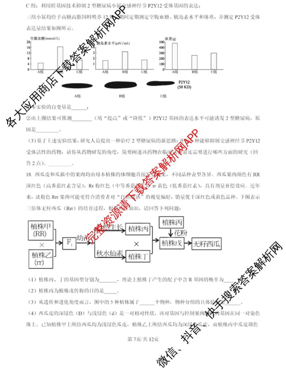 2025届鼎尖教育逐梦星辰杯实验班大联考(5月无标题)（含历史 地理 语文等）生物答案