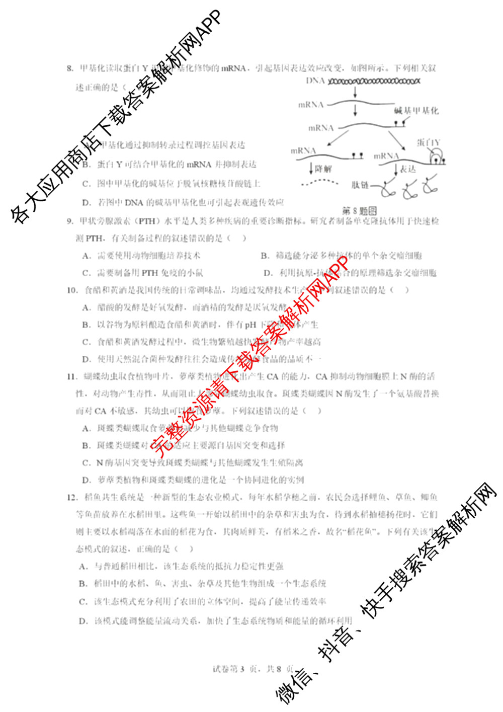 东莞市2025-2026学年高三第一学期七校联考12月试卷及答案汇总（9科全）生物试题