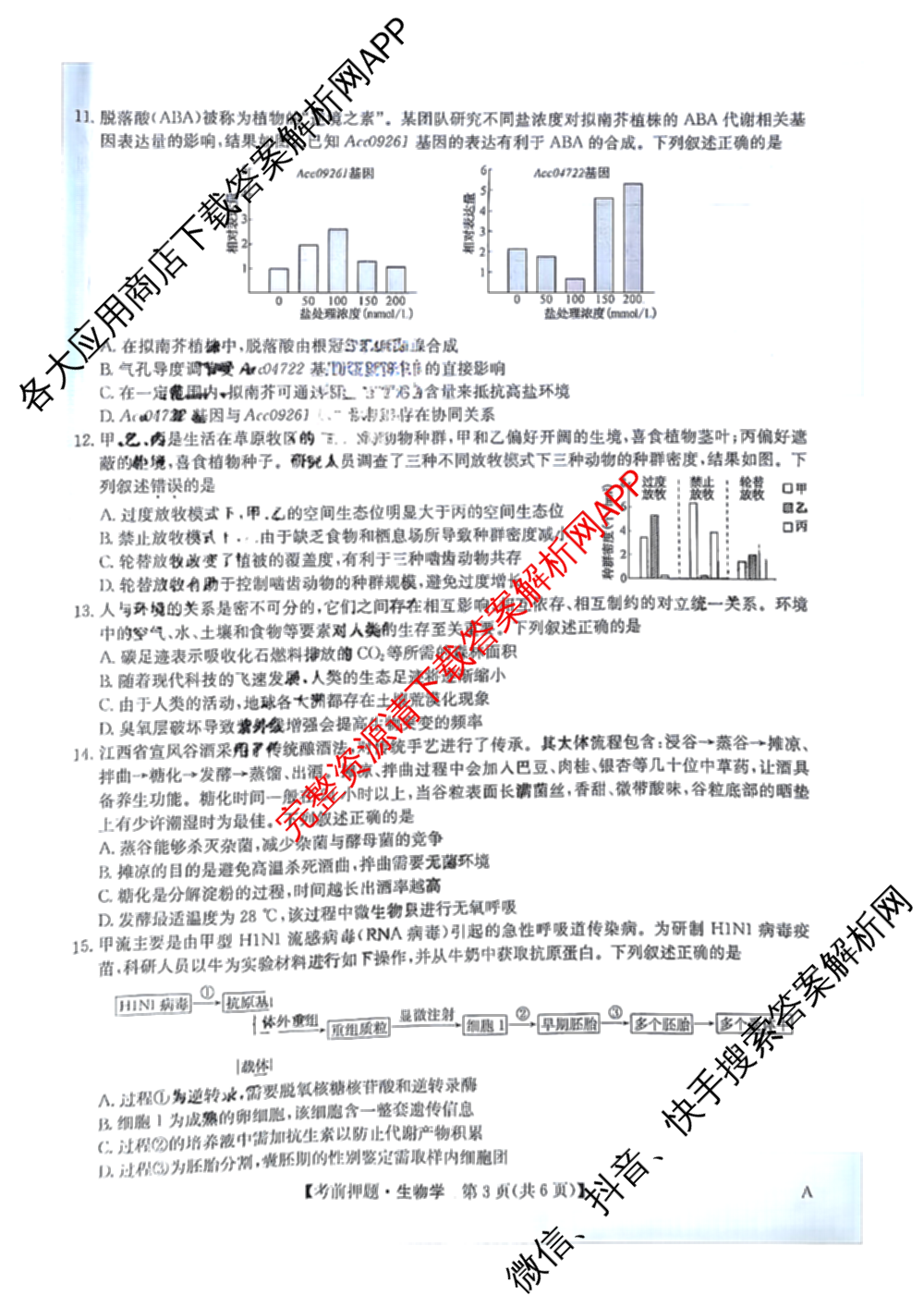 九师联盟2025届高三5月考前冲刺(一)（含地理(N)、政治、英语(无字母)等45份）生物试题