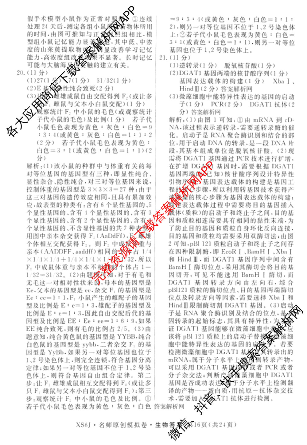 2026届高三总复习名师原创模拟(十)10（含物理(HN6)、英语(新S6)、历史(CQX6)等）生物答案