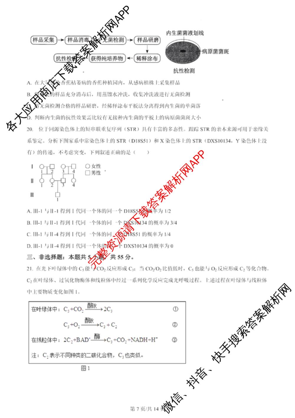 2024年高考真题(新高考)(已更新生物(山东卷) 数学(新课标II卷) 物理(河北卷)等108份)生物试题