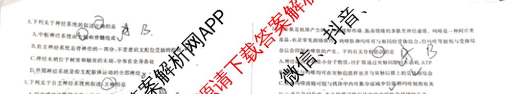 百师联盟2025-2026学年高二上学期阶段测试卷(一)1各科答案及试卷: 含地理(75分钟)、地理(中图版75分钟)、物理(90分钟多选)试卷解析生物试题