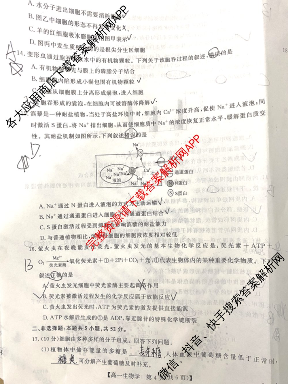 陕西省2025~2026第一学期12月质量检测高一(6192A)试卷及答案汇总: 含生物、历史、地理试卷解析生物试题